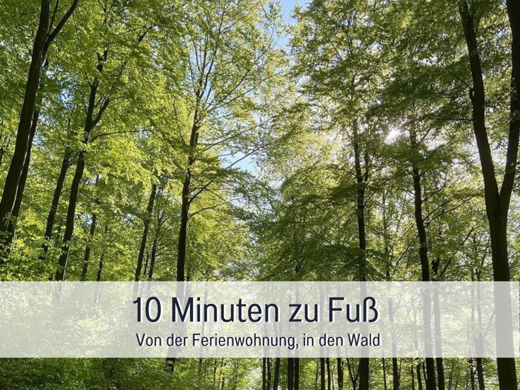 Am Feldrain - Urlaub Mit Hund Im Weserbergland Munden  Екстер'єр фото